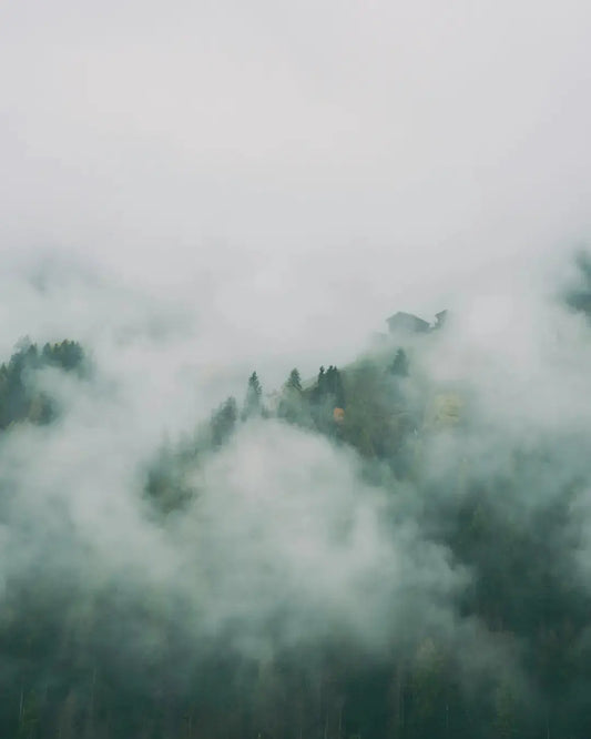 Creatine: klein supplement, groot effect SiRo Supplements{SiRo} {Collagen} {Collageen}